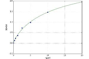 A typical standard curve (CD86 ELISA 试剂盒)