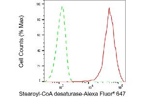 anti-Stearoyl-CoA Desaturase (Delta-9-Desaturase) (SCD) antibody