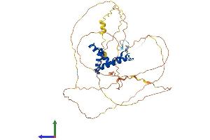 Protein Structure (PS) image for SRY (Sex Determining Region Y)-Box 4 (SOX4) (AA 1-440) protein (His tag) (ABIN7556907)