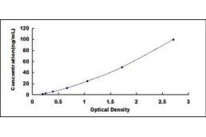 Typical standard curve (RLBP1 ELISA 试剂盒)
