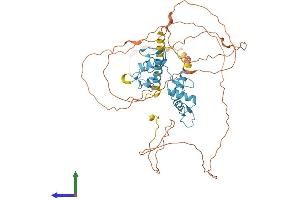 Protein Structure (PS) image for GLIS Family Zinc Finger 2 (GLIS2) (AA 1-521) protein (His tag) (ABIN7564745)