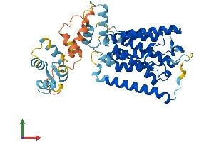 Protein Structure (PS) image for Rhomboid, Veinlet-Like 3 (RHBDL3) (AA 1-404) protein (His tag) (ABIN7556531)