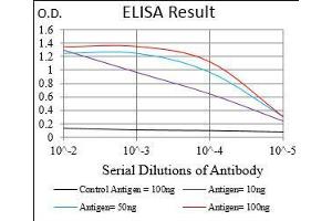 Black line: Control Antigen (100 ng), Purple line: Antigen(10 ng), Blue line: Antigen (50 ng), Red line: Antigen (100 ng), (BDNF 抗体  (AA 19-248))