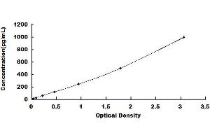 Typical standard curve (NEFL ELISA 试剂盒)