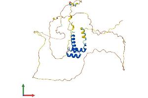 AlphaFold protein structure predicition of Human Recombinant HOXD9 Protein, UniprotID P28356