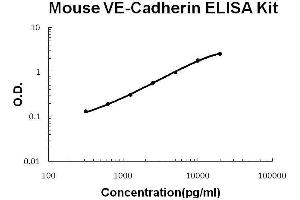 Mouse VE-Cadherin/CD144 PicoKine ELISA Kit standard curve (Cadherin 5 ELISA 试剂盒)