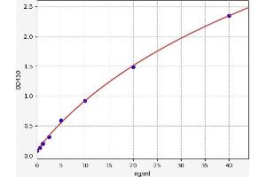 Typical standard curve (SESN1 ELISA 试剂盒)
