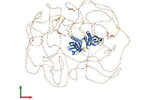 Protein Structure (PS) image for Insulin Receptor Substrate 1 (IRS1) (AA 1-1233) protein (His tag) (ABIN7563177)