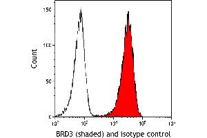 Flow Cytometry (FACS) image for anti-Bromodomain Containing 3 (BRD3) (AA 676-726) antibody (ABIN7455203)