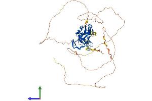 Protein Structure (PS) image for T-Box 15 (TBX15) (AA 1-602) protein (His tag) (ABIN7544361)