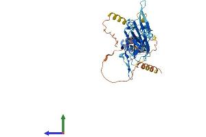 Protein Structure (PS) image for Potassium Inwardly-Rectifying Channel, Subfamily J, Member 16 (KCNJ16) (AA 1-419) protein (His tag) (ABIN7556455)