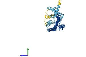 Protein Structure (PS) image for Olfactory Receptor, Family 56, Subfamily B, Member 1 (OR56B1) (AA 1-324) protein (His tag) (ABIN7550427)