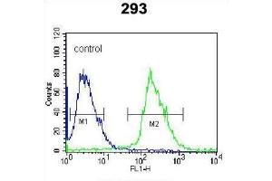 Flow Cytometry (FACS) image for anti-Kallikrein 6 (KLK6) antibody (ABIN3002615) (Kallikrein 6 抗体)