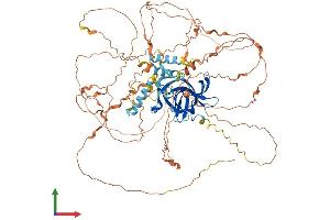 AlphaFold protein structure predicition of Mouse Recombinant Bahd1 Protein, UniprotID Q497V6