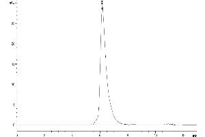 Size-exclusion chromatography-High Pressure Liquid Chromatography (SEC-HPLC) image for C-Mer Proto-Oncogene Tyrosine Kinase (MERTK) (AA 21-505) protein (mFc Tag) (ABIN7275243)