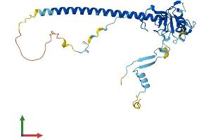 Protein Structure (PS) image for Nitric Oxide Synthase Interacting Protein (NOSIP) (AA 1-301) protein (His tag) (ABIN7561054)