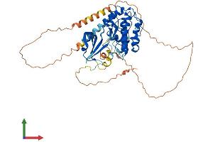 AlphaFold protein structure predicition of Human Recombinant CAMK4 Protein, UniprotID Q16566