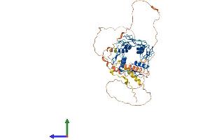 Protein Structure (PS) image for Zinc Finger Protein 677 (ZNF677) (AA 1-584) protein (His tag) (ABIN7545349)