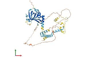 Protein Structure (PS) image for Adrenocortical Dysplasia Homolog (ACD) (AA 1-416) protein (His tag) (ABIN7563814)