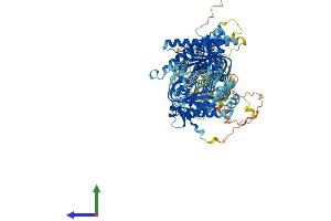 Protein Structure (PS) image for Adenylate Cyclase 7 (Adcy7) (AA 1-1080) protein (His tag) (ABIN7551885)