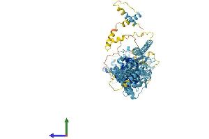 Protein Structure (PS) image for Nucleoporin 93kDa (NUP93) (AA 1-819) protein (His tag) (ABIN7558695)