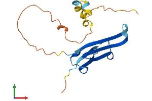Protein Structure (PS) image for Heat Shock 27kDa Protein 3 (HSPB3) (AA 1-154) protein (His tag) (ABIN7561815)