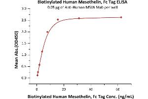 Immobilized A MSLN Mab at 0.
