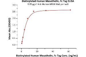 Immobilized A MSLN Mab at 0. (Mesothelin Protein (MSLN) (AA 296-580) (Fc Tag,Biotin))