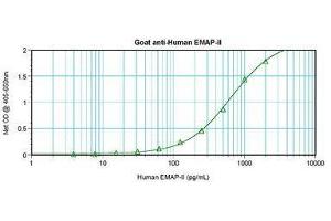 Image no. 1 for anti-AIMP1 / EMAP II antibody (ABIN465272) (AIMP1 / EMAP II 抗体)