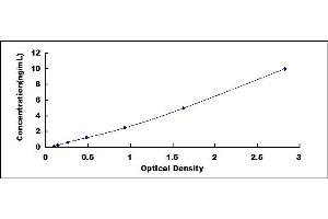 Typical standard curve (Relaxin 3 Receptor 1 ELISA 试剂盒)