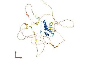 Protein Structure (PS) image for SRY (Sex Determining Region Y)-Box 10 (SOX10) (AA 1-466) protein (His tag) (ABIN7556891)