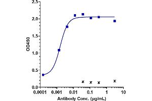 Immobilized human CLDN6 (VLP, 8 μg/mL) can bind to Anti- Human CLDN6( IMAB027) with an EC50 of 0. (Recombinant Claudin 6 抗体)