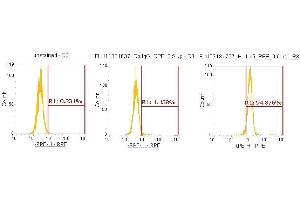 Flow Cytometry (FACS) image for anti-Interleukin 15 (IL15) (AA 49-162) antibody (PE) (ABIN5565745) (IL-15 抗体  (AA 49-162) (PE))