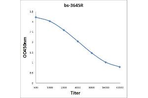 Antigen: 2 µg/100 µL  Primary: Antiserum, 1:500, 1:1000, 1:2000, 1:4000, 1:8000, 1:16000, 1:32000;  Secondary: HRP conjugated Rabbit Anti-Goat IgG at 1: 5000;  TMB staining Read the data in Microplate Reader by 450nm. (MAGEA4 抗体  (AA 110-210))