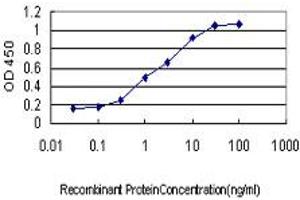 Detection limit for recombinant GST tagged SSR1 is approximately 0. (SSR1 抗体  (AA 33-286))