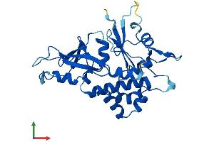 Protein Structure (PS) image for ATG5 Autophagy Related 5 (ATG5) (AA 1-275) protein (His tag) (ABIN7552466)