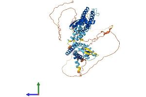 Protein Structure (PS) image for Potassium Voltage-Gated Channel, Shaw-Related Subfamily, Member 2 (KCNC2) (AA 1-638) protein (His tag) (ABIN7554264)