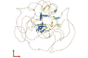 Protein Structure (PS) image for Synaptopodin 2 (SYNPO2) (AA 1-1087) protein (His tag) (ABIN7564821)