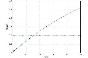 A typical standard curve (LRP2 ELISA 试剂盒)