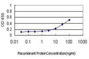 Detection limit for recombinant GST tagged NFKBIB is approximately 1ng/ml as a capture antibody.
