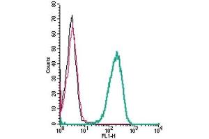 Flow Cytometry (FACS) image for anti-Potassium Voltage-Gated Channel, KQT-Like Subfamily, Member 1 (KCNQ1) (AA 284-297), (Extracellular) antibody (ABIN7043501)