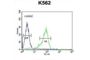 Flow Cytometry (FACS) image for anti-Glucagon-like peptide 1 (GLP-1) antibody (ABIN3002369) (GLP-1 抗体)