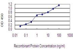 Detection limit for recombinant GST tagged EPO is 0. (EPO 抗体  (AA 1-193))