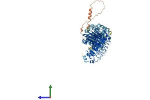 AlphaFold protein structure predicition of Human Recombinant LRRC8E Protein, UniprotID Q6NSJ5