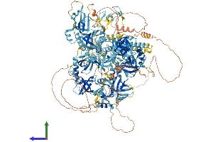 Protein Structure (PS) image for Ring Finger Protein 17 (RNF17) (AA 1-1623) protein (His tag) (ABIN7555257)