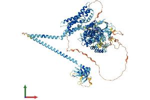 Protein Structure (PS) image for Ras Protein-Specific Guanine Nucleotide-Releasing Factor 2 (RASGRF2) (AA 1-1189) protein (His tag) (ABIN7563527)