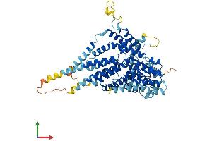 Protein Structure (PS) image for Solute Carrier Family 13 Member 5 (SLC13A5) (AA 1-572) protein (His tag) (ABIN7557875)