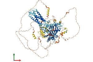 Protein Structure (PS) image for Diacylglycerol Lipase, alpha (DAGLA) (AA 1-1044) protein (His tag) (ABIN7564154)