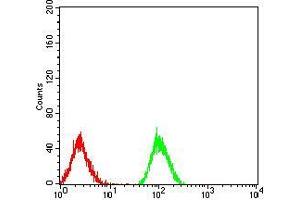 Flow cytometric analysis of Jurkat cells using PPARA mouse mAb (green) and negative control (red). (PPARA 抗体  (AA 1-120))