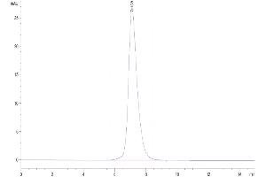 The purity of Human IL-2 R gamma is greater than 95 % as determined by SEC-HPLC. (IL2RG Protein (AA 23-254) (Fc Tag))